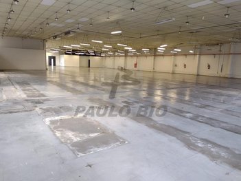 industrial em Cirino de Abreu, Guaiaúna - São Paulo - SP