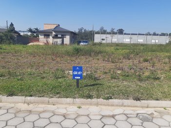 land_lot em Rodovia Alexandre Beloli, Primeira Linha - Criciúma - SC