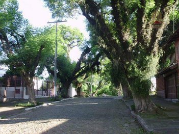 land_lot em Rua Nigéria, Vila Ipiranga - Porto Alegre - RS