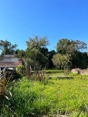 land_lot em das Camélias, Pinheiro - São Leopoldo - RS