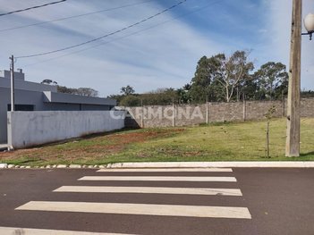 land_lot em Rua Pioneiro Carlos Bulla, Alto das Grevíleas - Maringá - PR