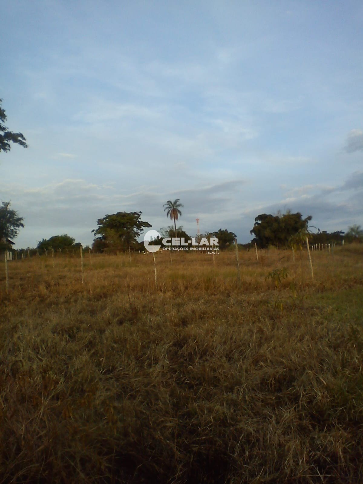4377_0_68b85dc2067cd.jpeg