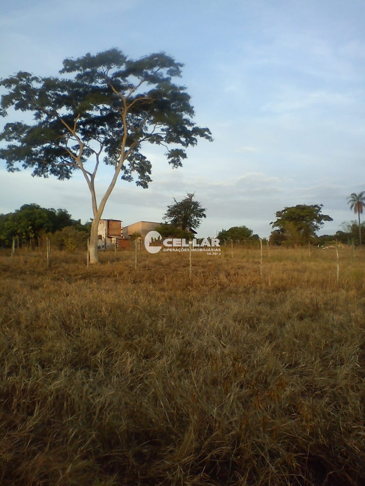 4377_1_68b85dc23c194.jpeg