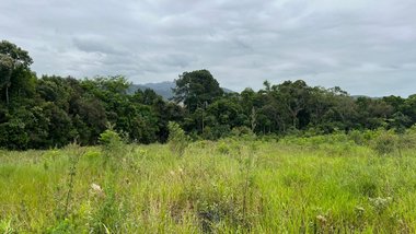 land_lot em José Laurindo Machado, Forquilhas - São José - SC