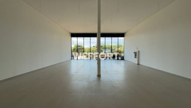 business em Avenida Ayrton Senna da Silva, Gleba Fazenda Palhano - Londrina - PR