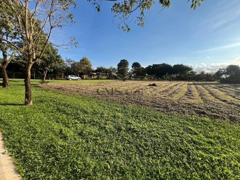 land_lot em Rua Alcides Turini, Recanto do Salto - Londrina - PR