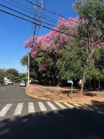 house em Rua Doutor Orestes Miraglia, Samambaia Parque Residencial - Bauru - SP