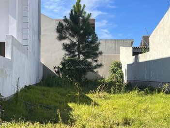land_lot em Cidade de Beja, Laranjal - Pelotas - RS