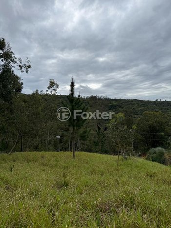 land_lot em Avenida Liberdade, Santa Isabel - Viamão - RS