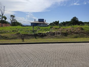 land_lot em Estrada Haroldo Soares Glavan, Cacupé - Florianópolis - SC