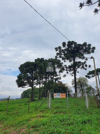 agricultural em Rua Benedito Soares Pinto, Centro - Campo Largo - PR
