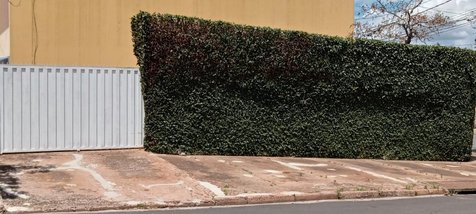 land_lot em Rua Doutor Guimarães, Vila Casa Branca - Botucatu - SP