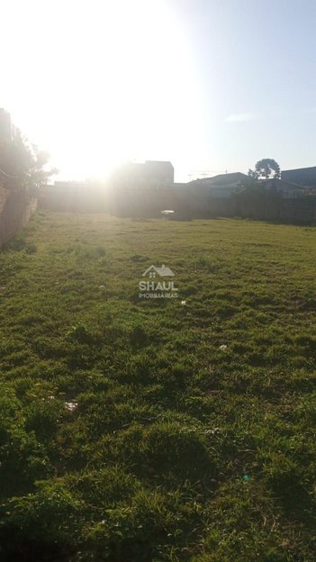 land_lot em Rua Rio São Luiz, Weissópolis - Pinhais - PR