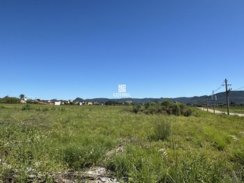 land_lot em Avenida Rodolfo Behr, Camobi - Santa Maria - RS