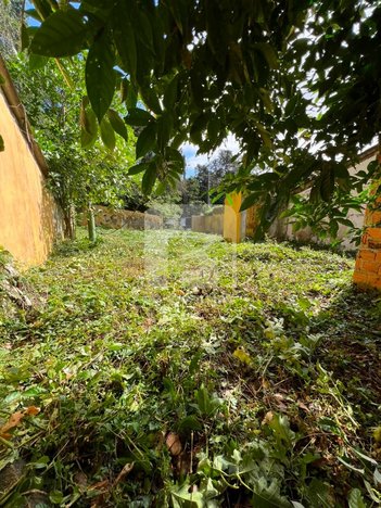 land_lot em Servidão Jupira Maria das Chagas Cameu, Rio Tavares - Florianópolis - SC