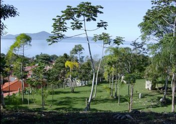 land_lot em Rua Guararema, Ponta de Baixo - São José - SC