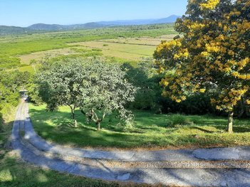 agricultural em Estrada Manoel Leôncio de Souza Brito, Vargem Pequena - Florianópolis - SC