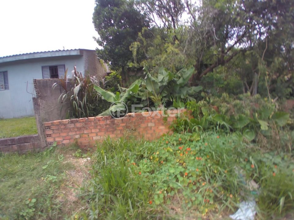 TERRENO - ESTRADA PASSO DO MORRINHO, 3206 - FIUZA - VIAMÃO - FOTO 2.jpg