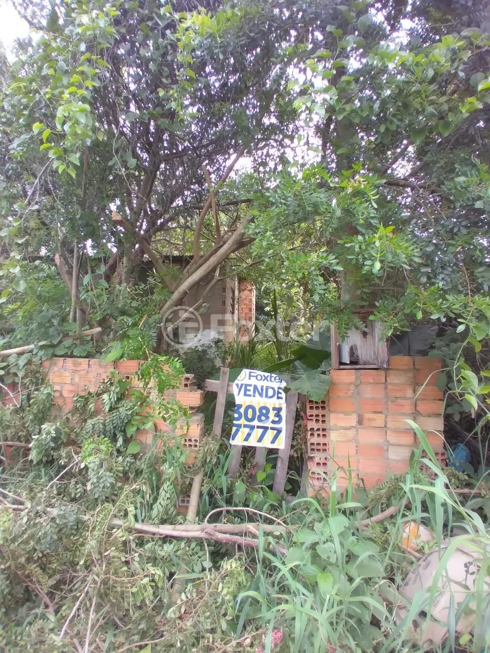 TERRENO - ESTRADA PASSO DO MORRINHO, 3206 - FIUZA - VIAMÃO - FOTO 1.jpg