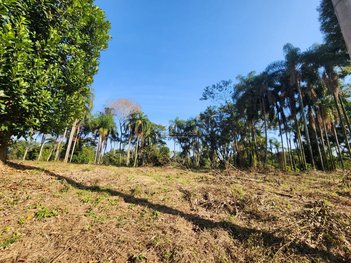 land_lot em Rua dos Bigodinhos, Chácaras Planalto - Monte Mor - SP