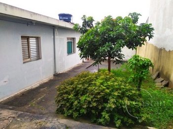 house em Rua Muniz Barreiros, Vila Formosa - São Paulo - SP