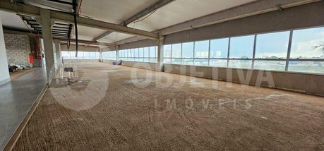 business em Rodovia BR-050, Segismundo Pereira - Uberlândia - MG