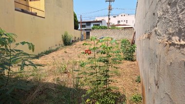 land_lot em Rua João Nutti, Parque dos Bandeirantes - Ribeirão Preto - SP