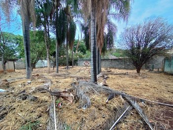 land_lot em Avenida das Américas, Joá - Lagoa Santa - MG