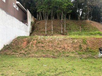 land_lot em Rua Maestro Otto Wey, Jardim Itatiaia - São Paulo - SP