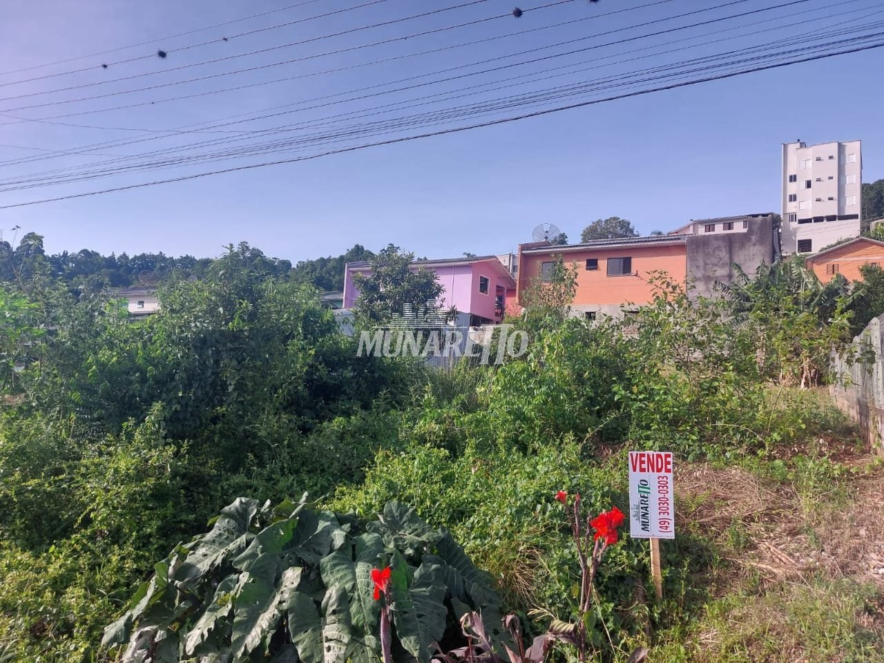 terreno-a-venda-318m-petropolis-concordia-sc1743628396056pcwee.jpg