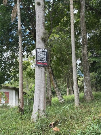 land_lot em Tomáz Domingos da Silveira, São Sebastião - Palhoça - SC