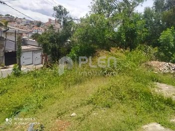 land_lot em Rua César Pena Ramos, Vila Santa Maria - São Paulo - SP
