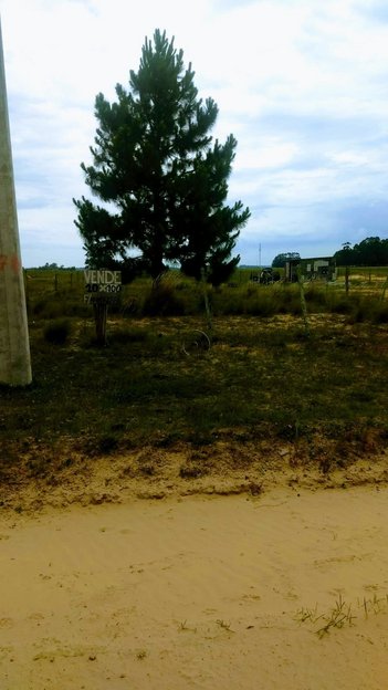 land_lot em Avenida A, Quinta - Rio Grande - RS