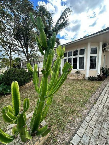 house em Rua Alfredo Pessi, Cidade Alta - Araranguá - SC
