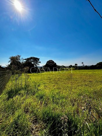 land_lot em Rua Paraná, Chacaras Aeroporto - Sarandi - PR