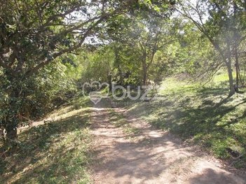 commercial_land_lot em João Gualberto Soares, São João do Rio Vermelho - Florianópolis - SC