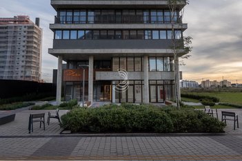 office em Dona Zilda, São Gonçalo - Pelotas - RS