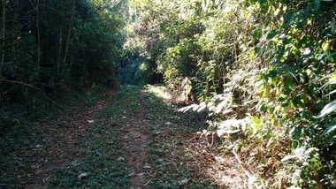 land_lot em Estrada do Brejal, Posse - Petrópolis - RJ