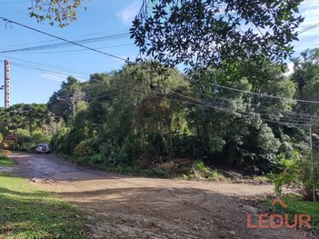 land_lot em Rua São Bernardo, São Francisco de Paula - São Francisco de Paula - RS
