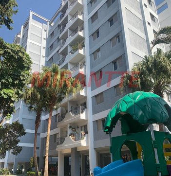 apartment em Rua Padre Paulo Ravier, Água Fria - São Paulo - SP