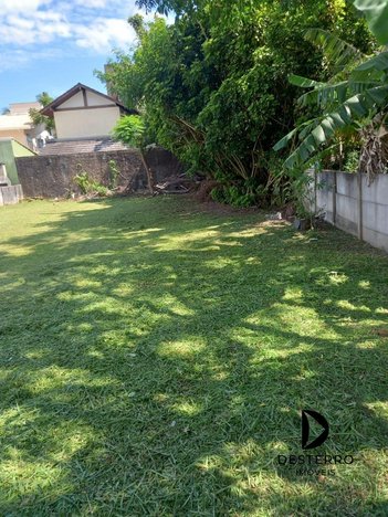 land_lot em Avenida das Pitangueiras, Daniela - Florianópolis - SC