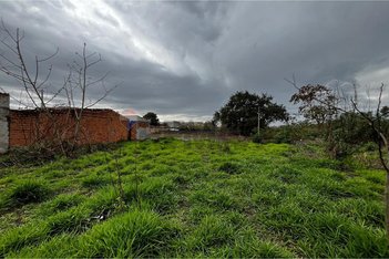 land_lot em Rua Amparo, Vila Mariana - Ribeirão Preto - SP