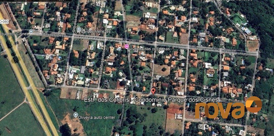 google Parque dos Cisnes