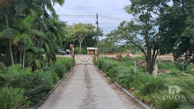agricultural em Rua Virginio Zanatta, Jardim das Palmeiras - Cocal do Sul - SC