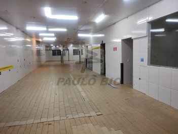 commercial_property em Rua Horácio Vergueiro Rudge, Casa Verde - São Paulo - SP