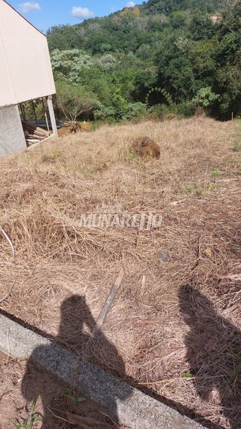 land_lot em Rua Anna Antonia Caovila, Guilherme Reich - Concórdia - SC
