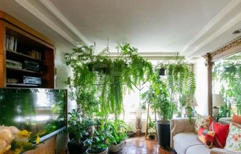 apartment em Rua Manuel Guedes, Jardim Europa - São Paulo - SP