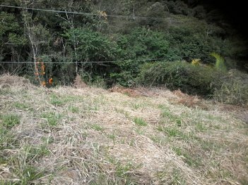 land_lot em Estrada Montanhas, Ermitage - Teresópolis - RJ