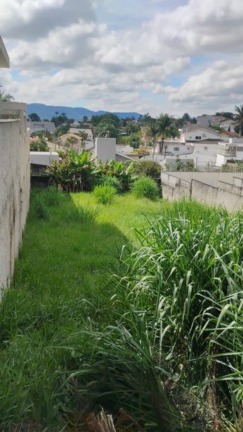 land_lot em Rua Luiz da Silva Pires, Vila Oliveira - Mogi das Cruzes - SP