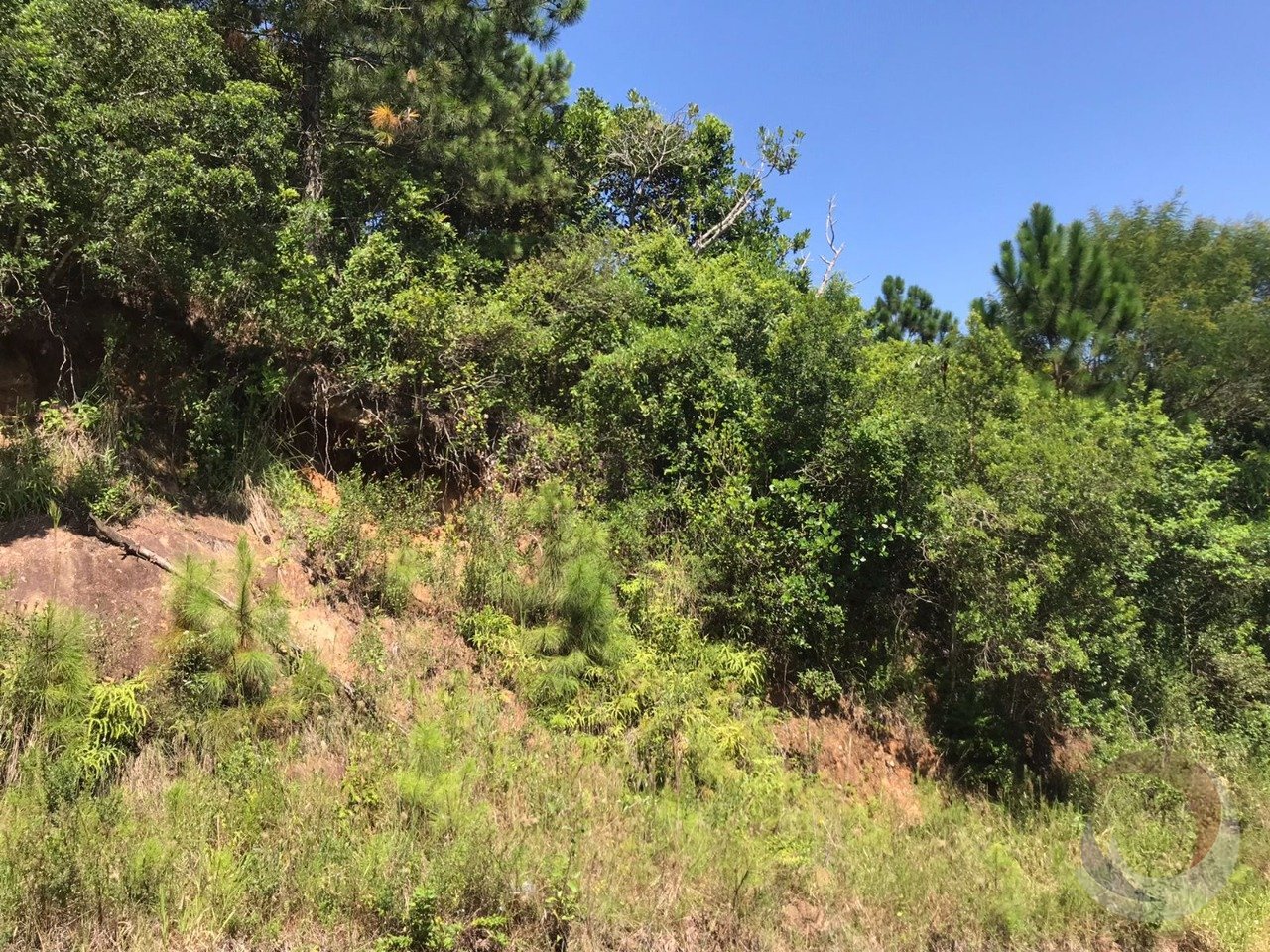 WhatsApp Image 2024-02-08 at 10.13